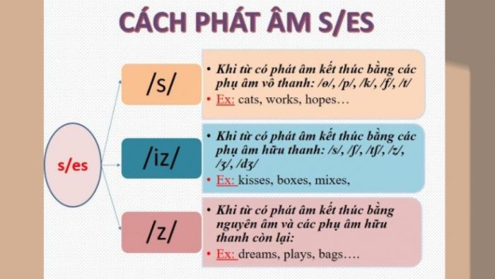 Cách phát âm S/ ES trong tiếng Anh