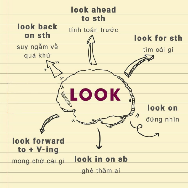 Tổng hợp các cụm động từ đi với “Look” phổ biến nhất