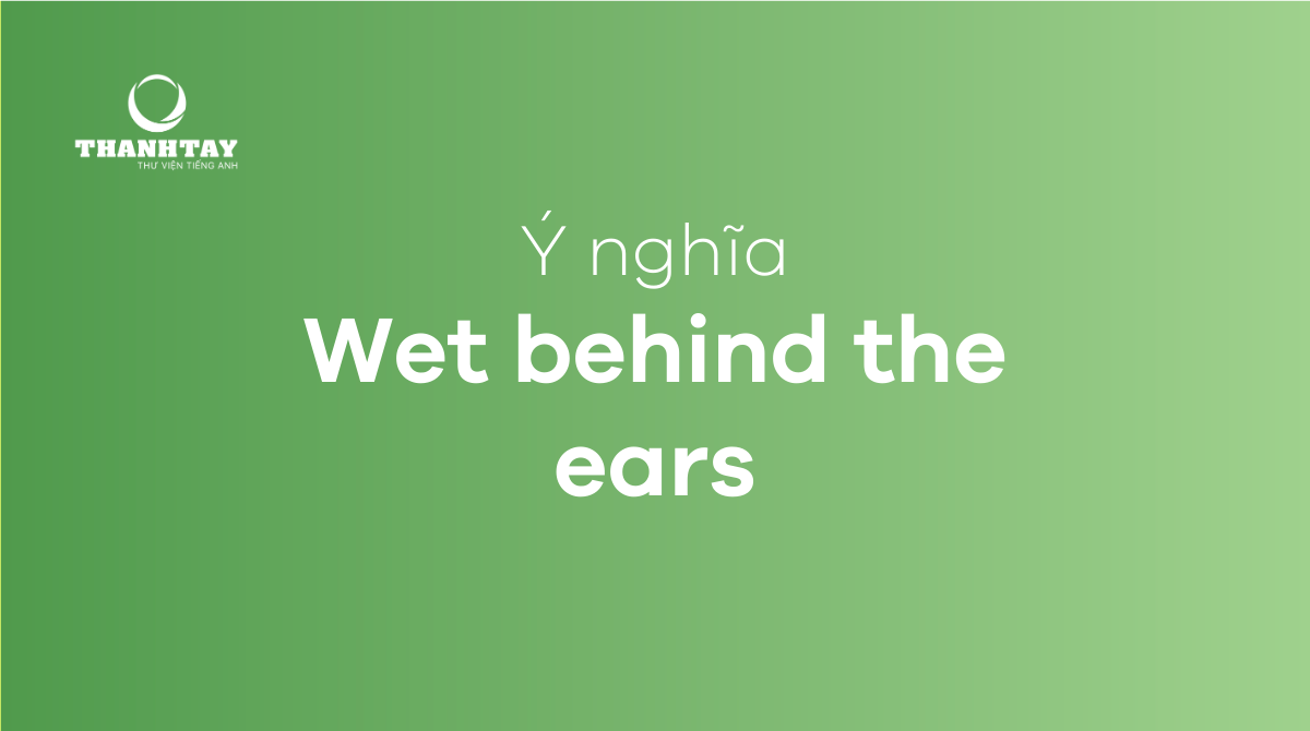 Wet behind the ears